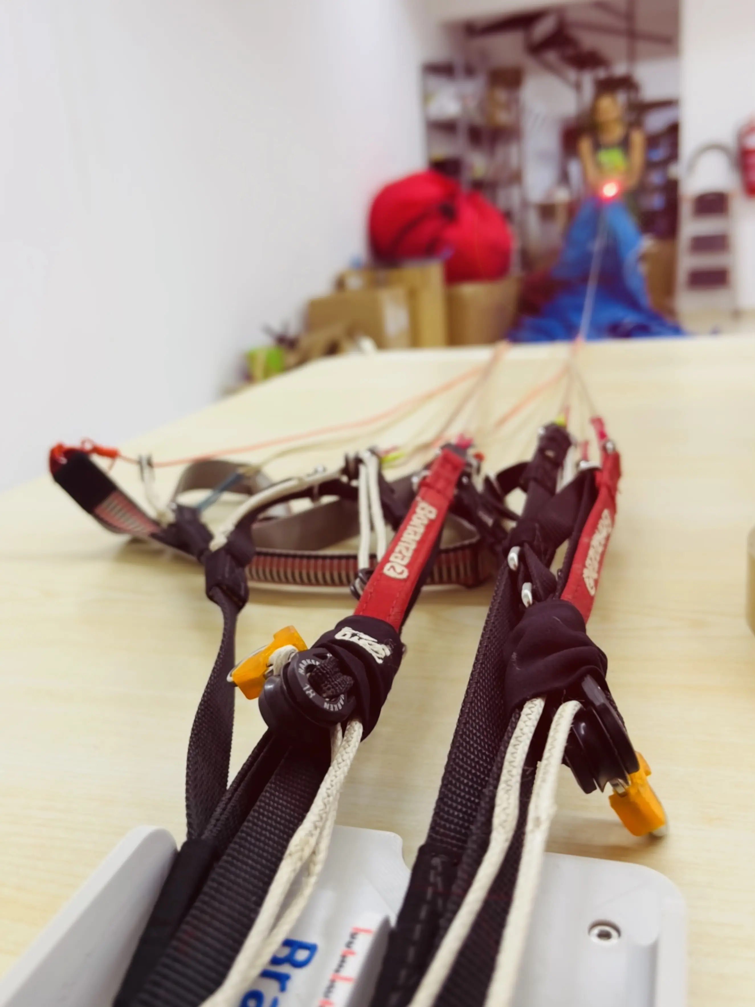 Gin Bonanza line measurement with a hand held laser